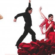 Prvi regionalni Flamenco Festival
